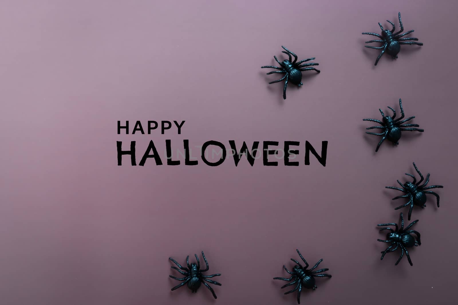 Happy Halloween, scary spider on purple background