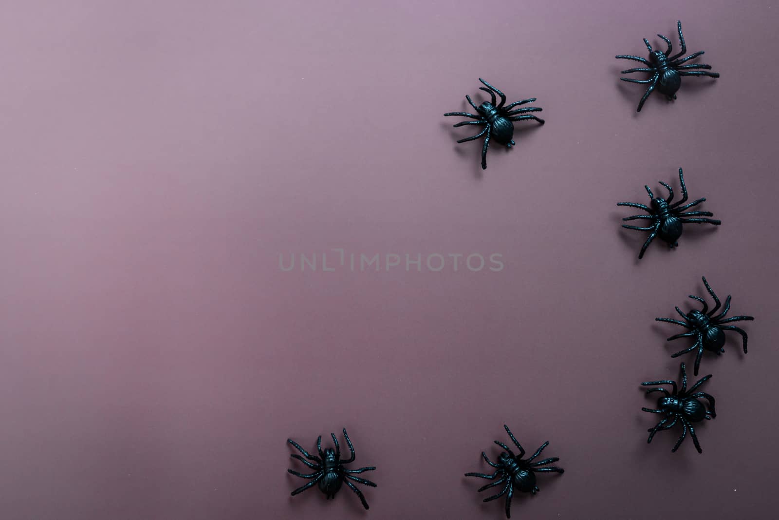 Happy Halloween, scary spider on purple background by psodaz