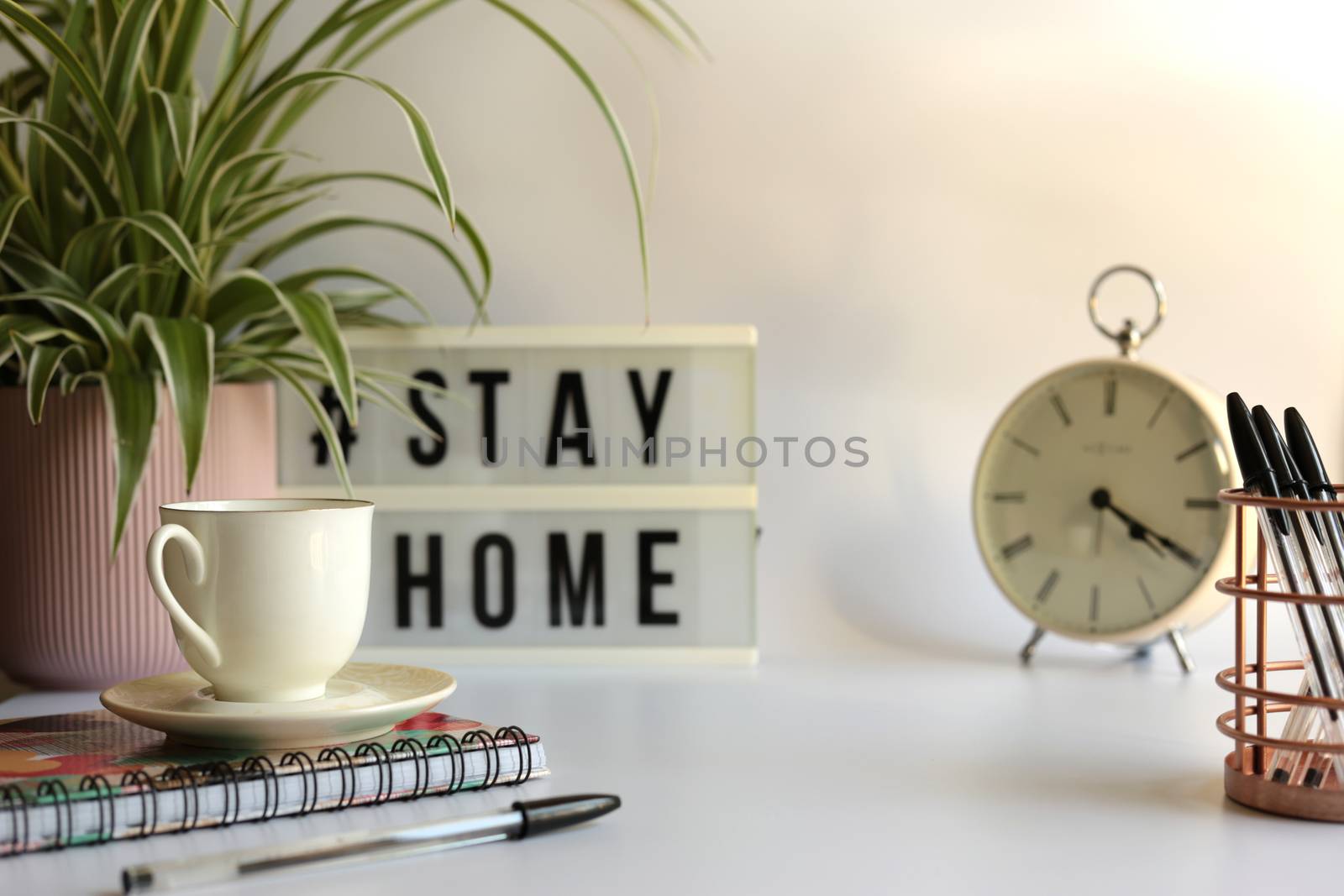 Home office desc concept during self quarantine as preventive measure against virus. Stay safe concept. Cup of coffee, clock, stationary, home plant on white background