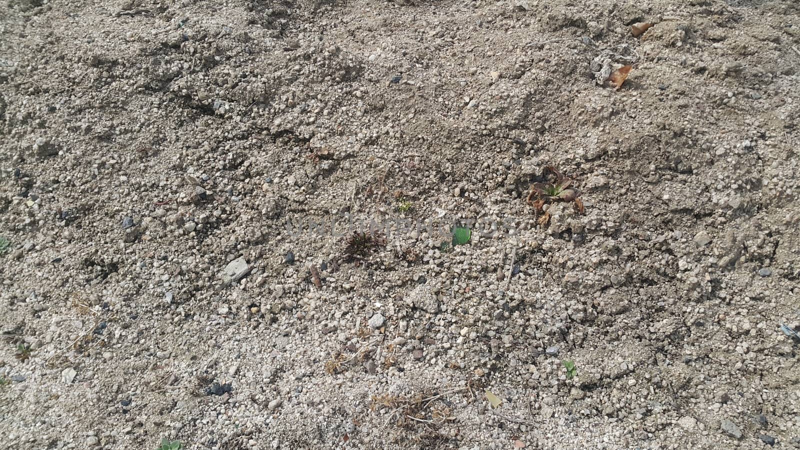 Close view of natural background of a field for farming. Dry agricultural brown soil detailed. 