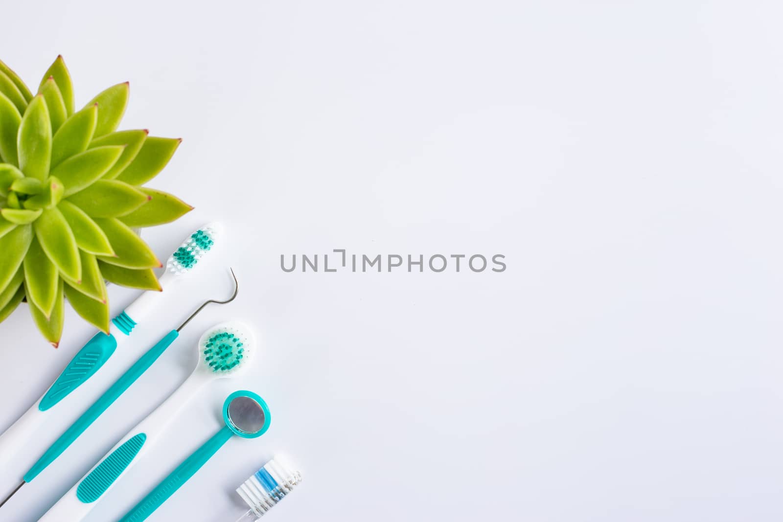 Dental equipment over white surface with green plant in soft focus