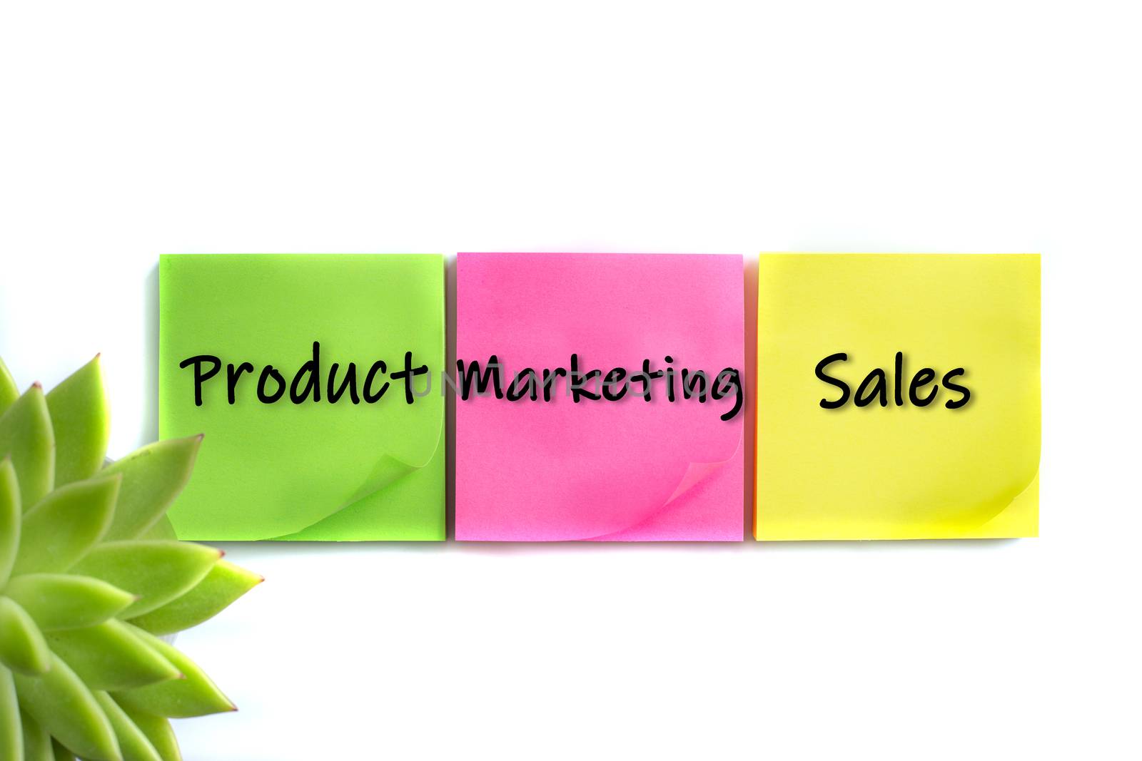 Words Product, Marketing, Sales on colored sticky notes and home plant in soft focus on white background. Business environment, brainstorming. Finding answers to marketing strategy