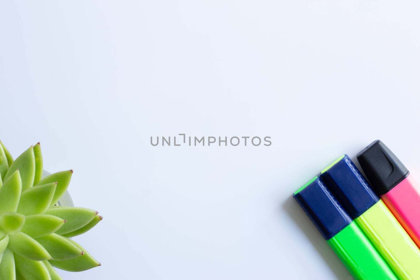 Colored highlighters set and home plant in soft focus on white packground by NelliPolk