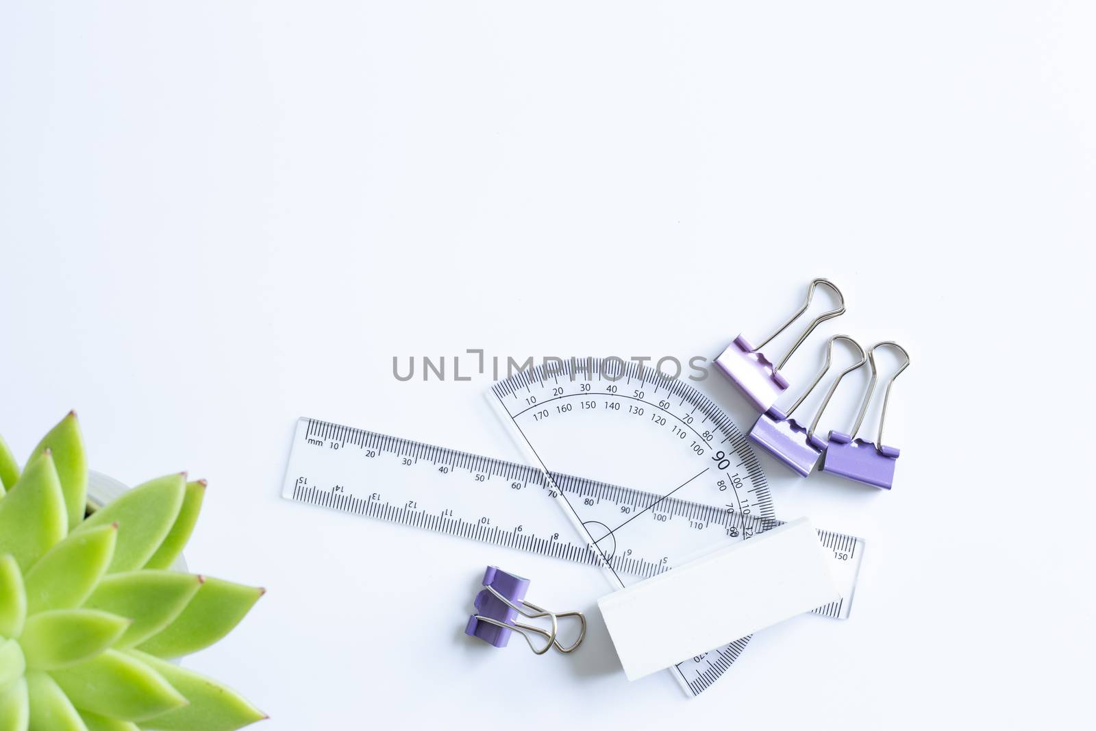 Home plant in soft focus, rulers and clips. Stationery flat lay. Back to school. White background