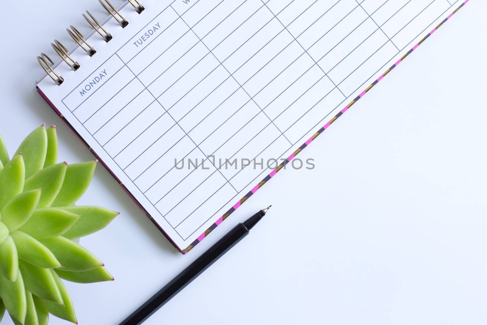 Stationery flat lay. Home plant soft focus and weekly organizer planner. Back to school. White background