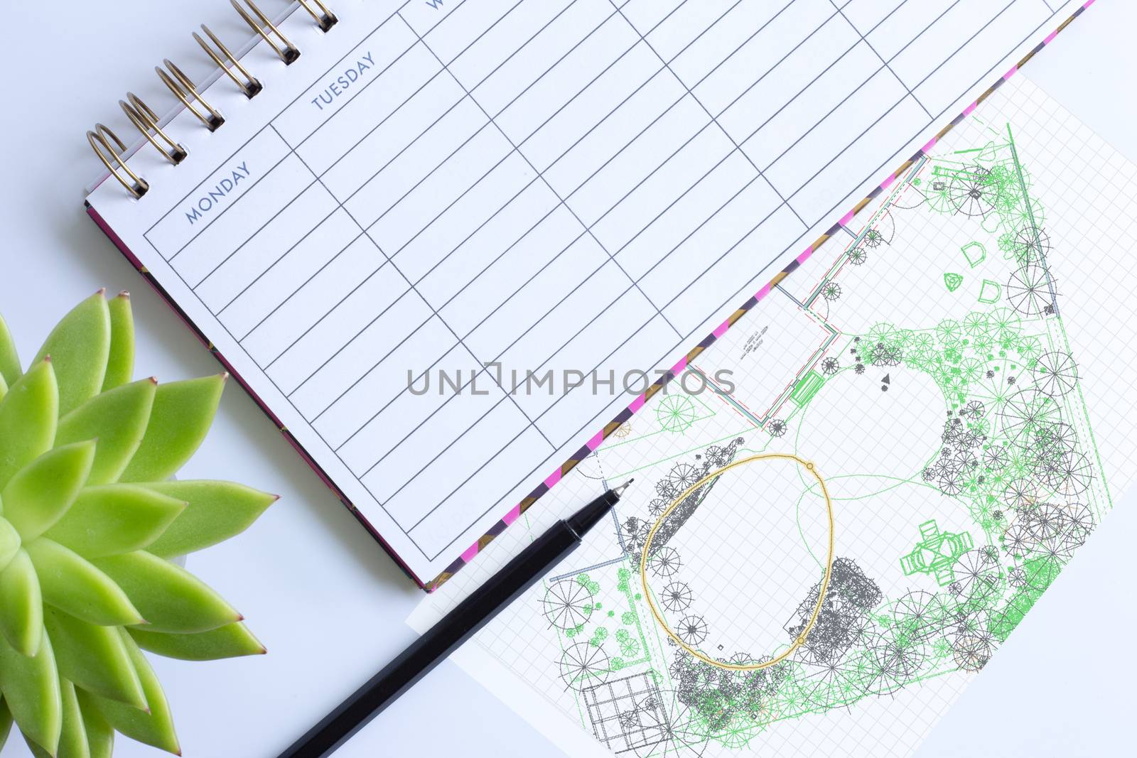 Weekly planner with pen, home plant in soft focus and computer garden design drawing sketch. Landscaping architectural project execution, garden design landscape concept