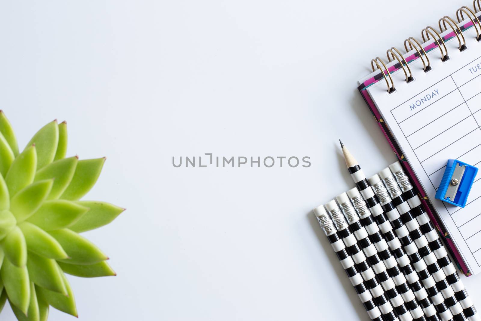 Stationery flat lay. Home plant soft focus, weekly organizer planner, shaper and pencils. Back to school. White background.