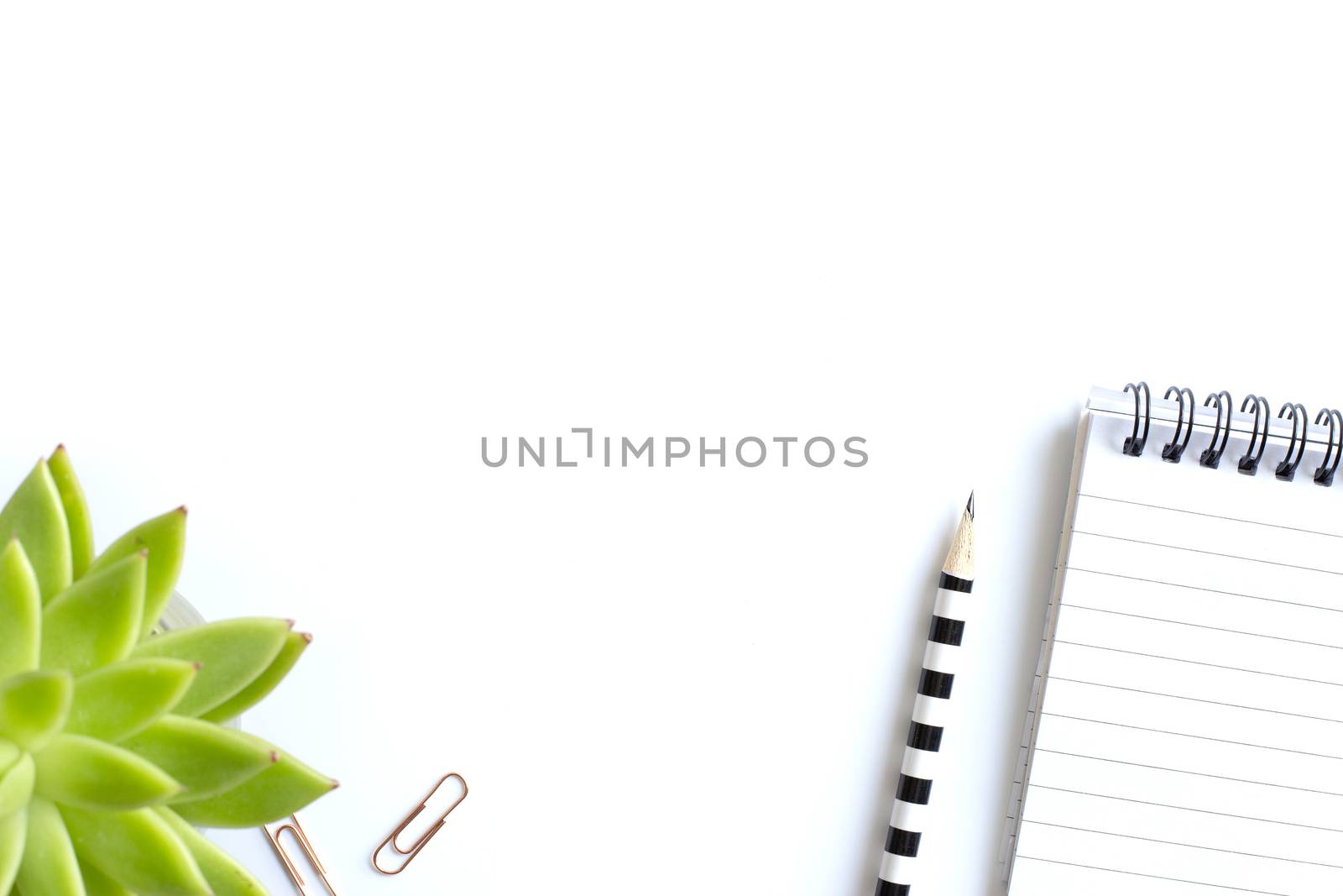 Notepad with spiral, pensil, clippers and home plant in soft focus on white background, Stationery flat lay. Back to school. White background. Mock up