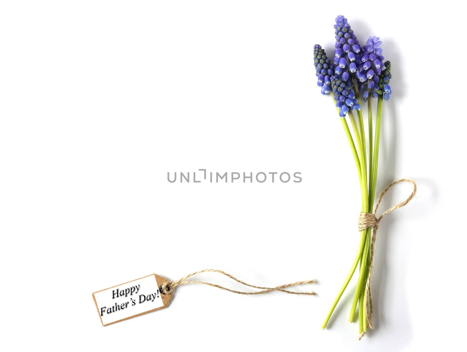 Blue flowers with gift tag and sign Happy Fathers Day on white background