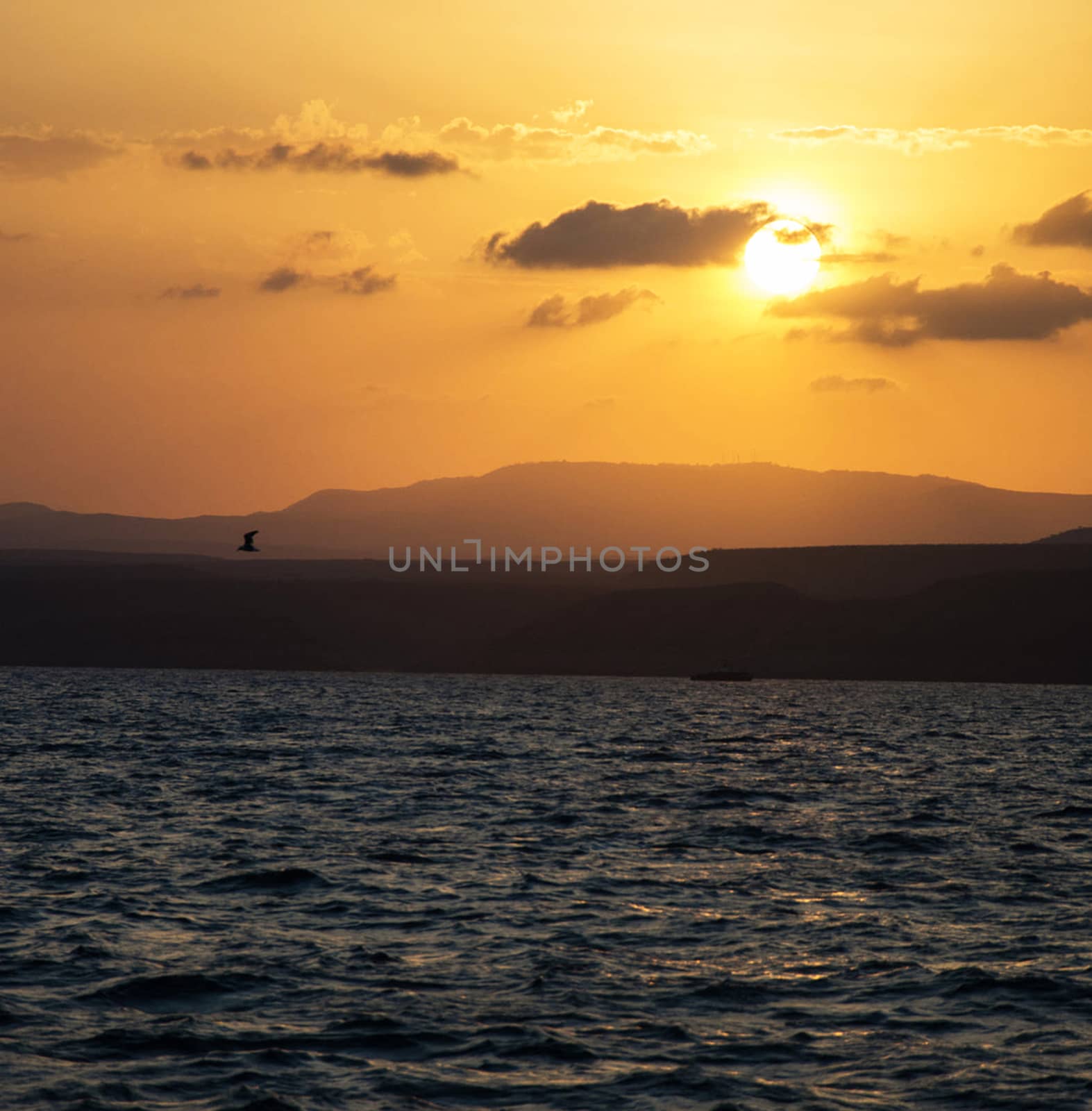 Beautiful pictures of  Djibouti