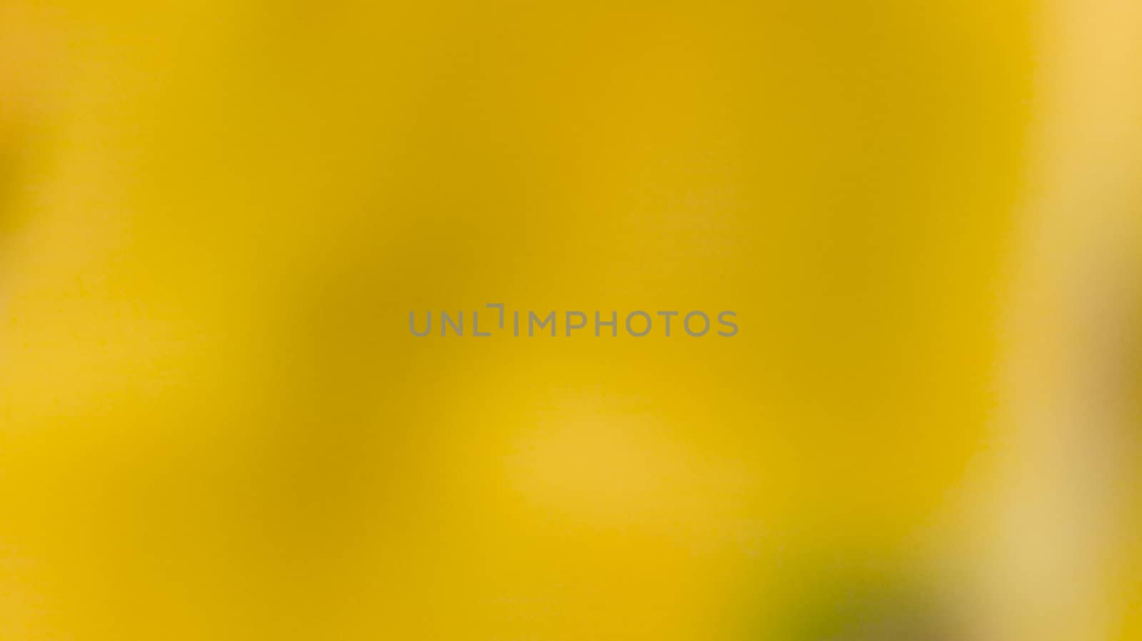 abstract yellow and black color photo in blur with texture from nature leaf plant for backfround, look essm like a lake or hole with rough texture.