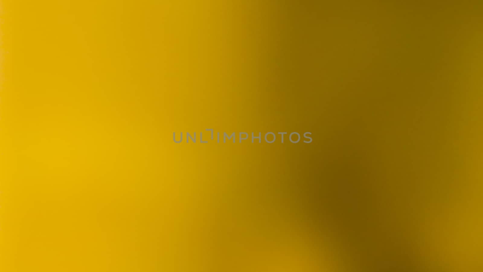 abstract yellow and black color photo in blur with texture from nature leaf plant for backfround by Pooljan