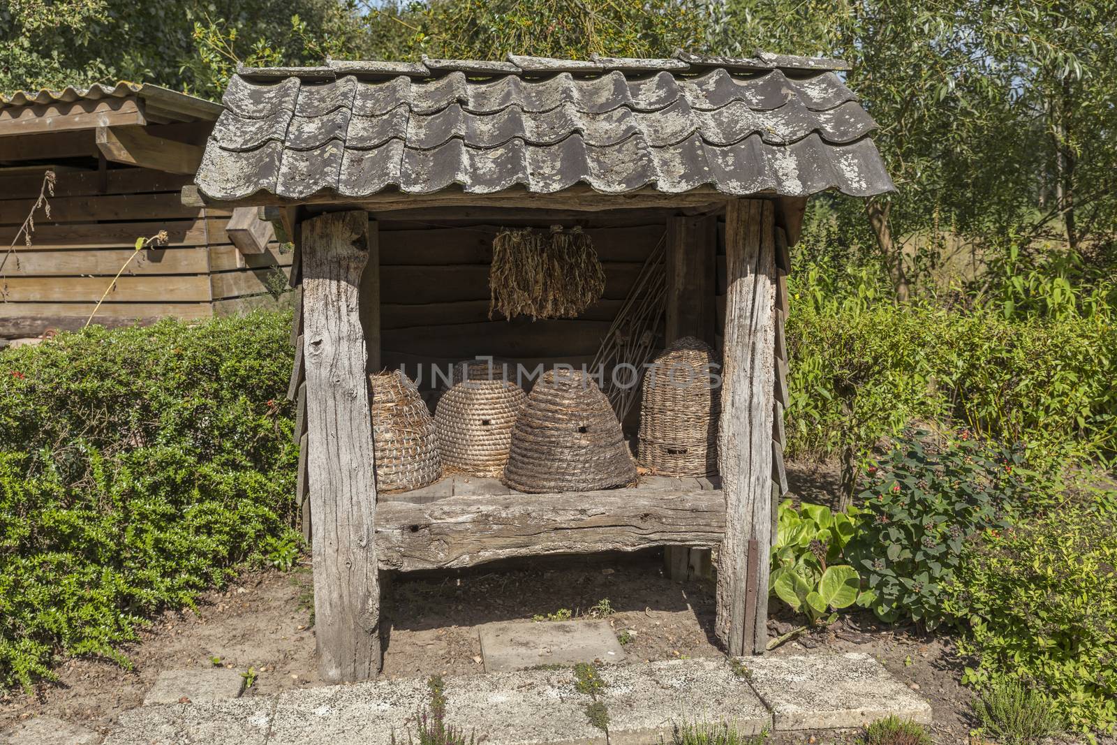 Traditional beehives flipped from straw in a garden with plants and flowers special for the bees and insects