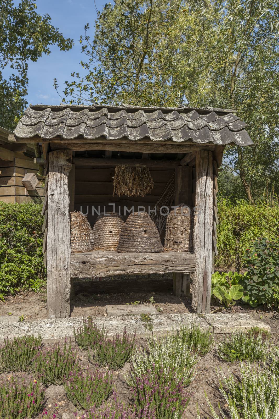 Traditional beehives flipped from straw in a garden with plants and flowers special for the bees and insects