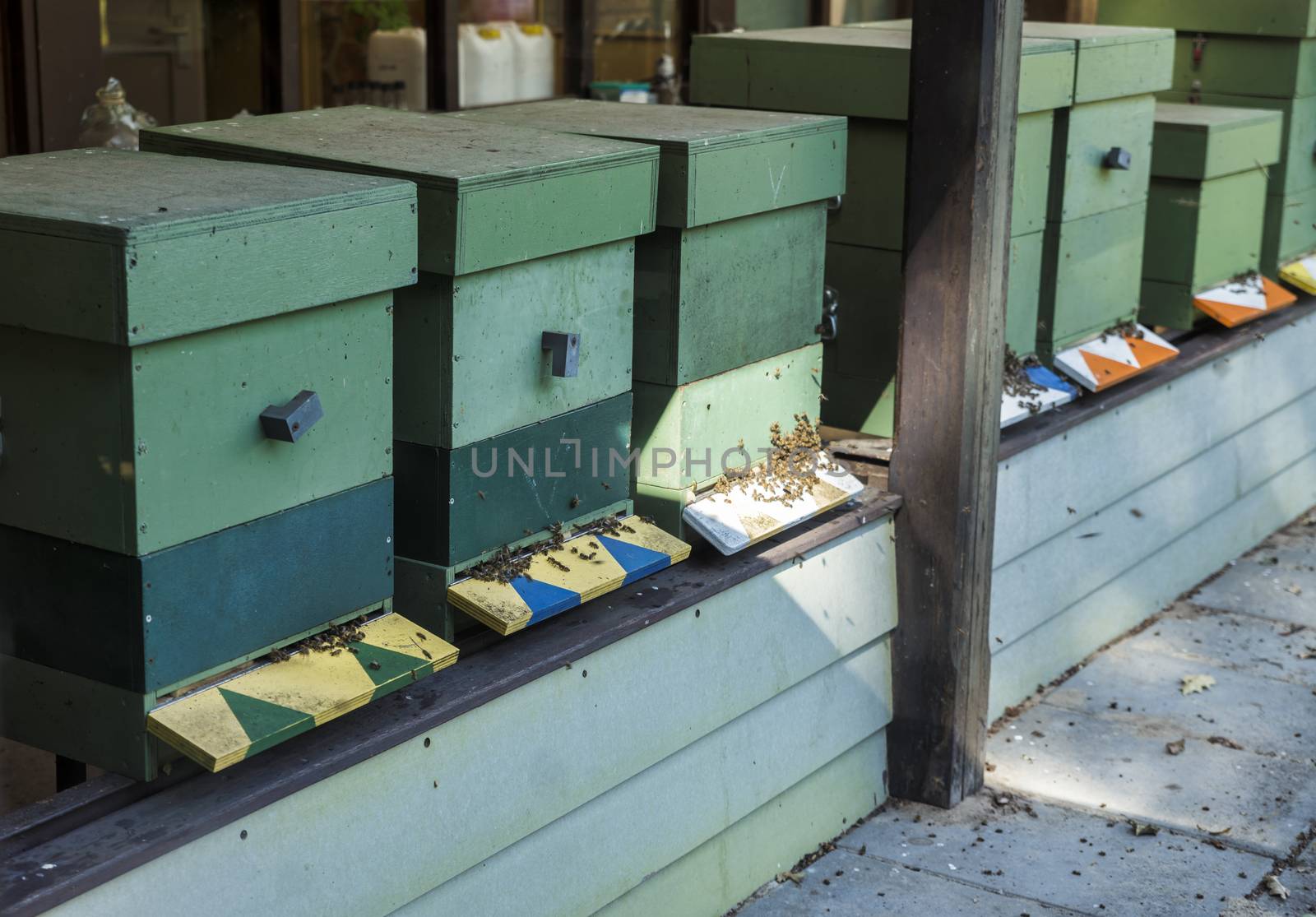 Traditional wooden hives for beeholding in a garden with plants and flowers special for the bees and insects