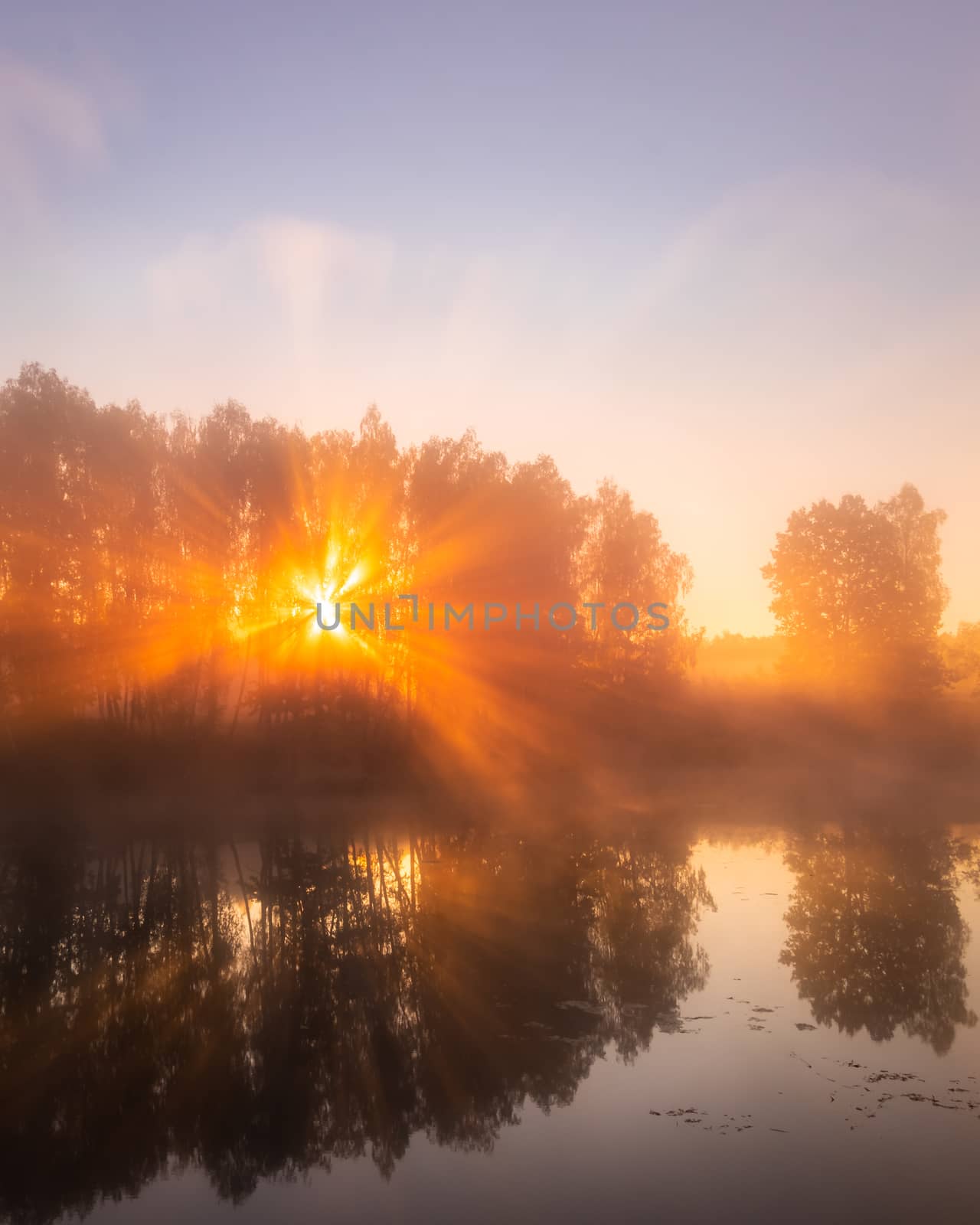 Golden misty sunrise on the pond in the autumn morning. Trees with rays of the sun cutting through the branches, reflected in the water.