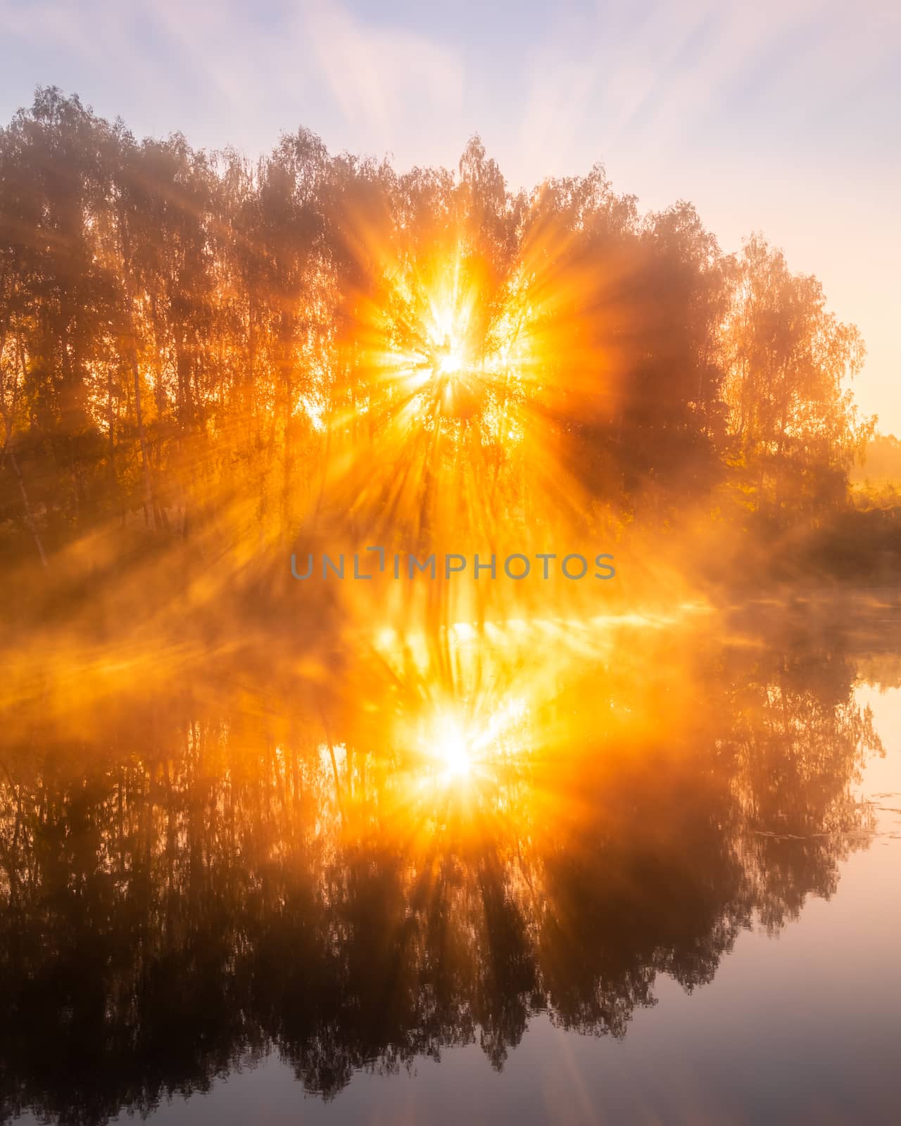 Golden misty sunrise on the pond in the autumn morning. Trees with rays of the sun cutting through the branches, reflected in the water.