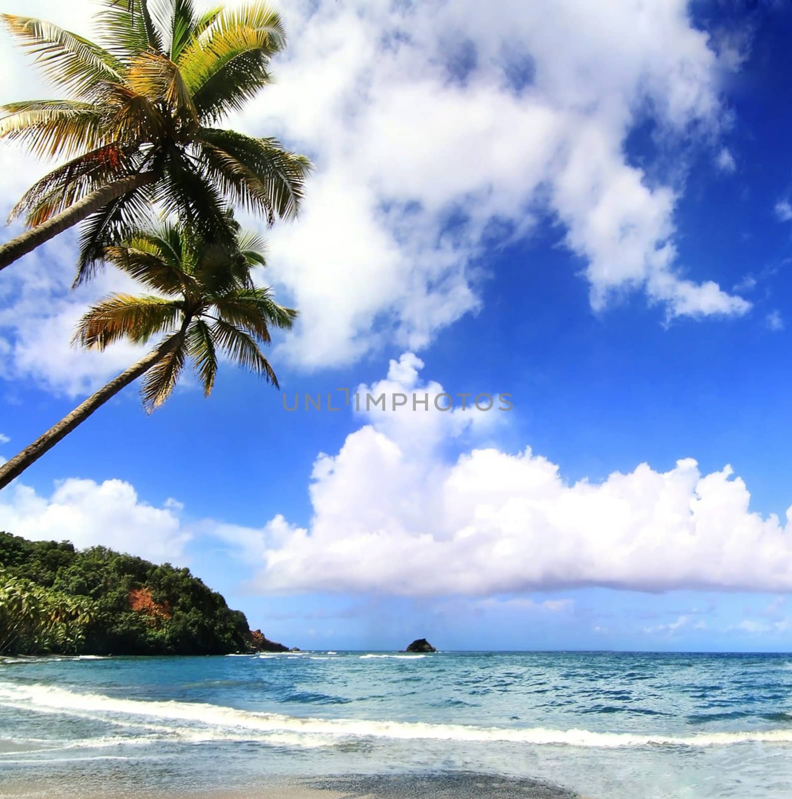 Beautiful pictures of  Dominica