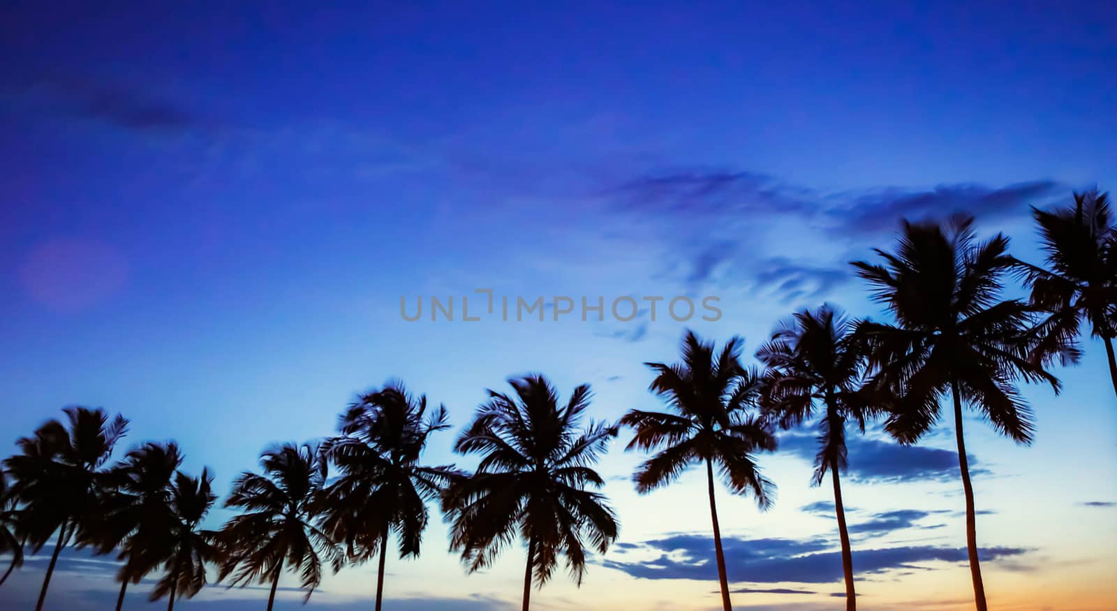 Beautiful pictures of  Gabon