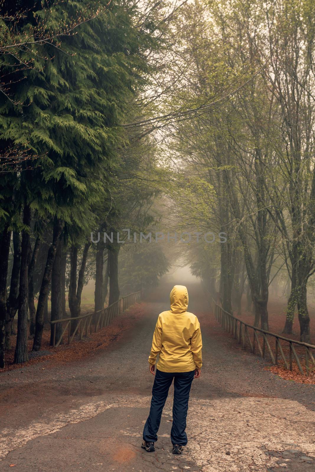 Female traveler walking on a beautiful road on a foggy morning