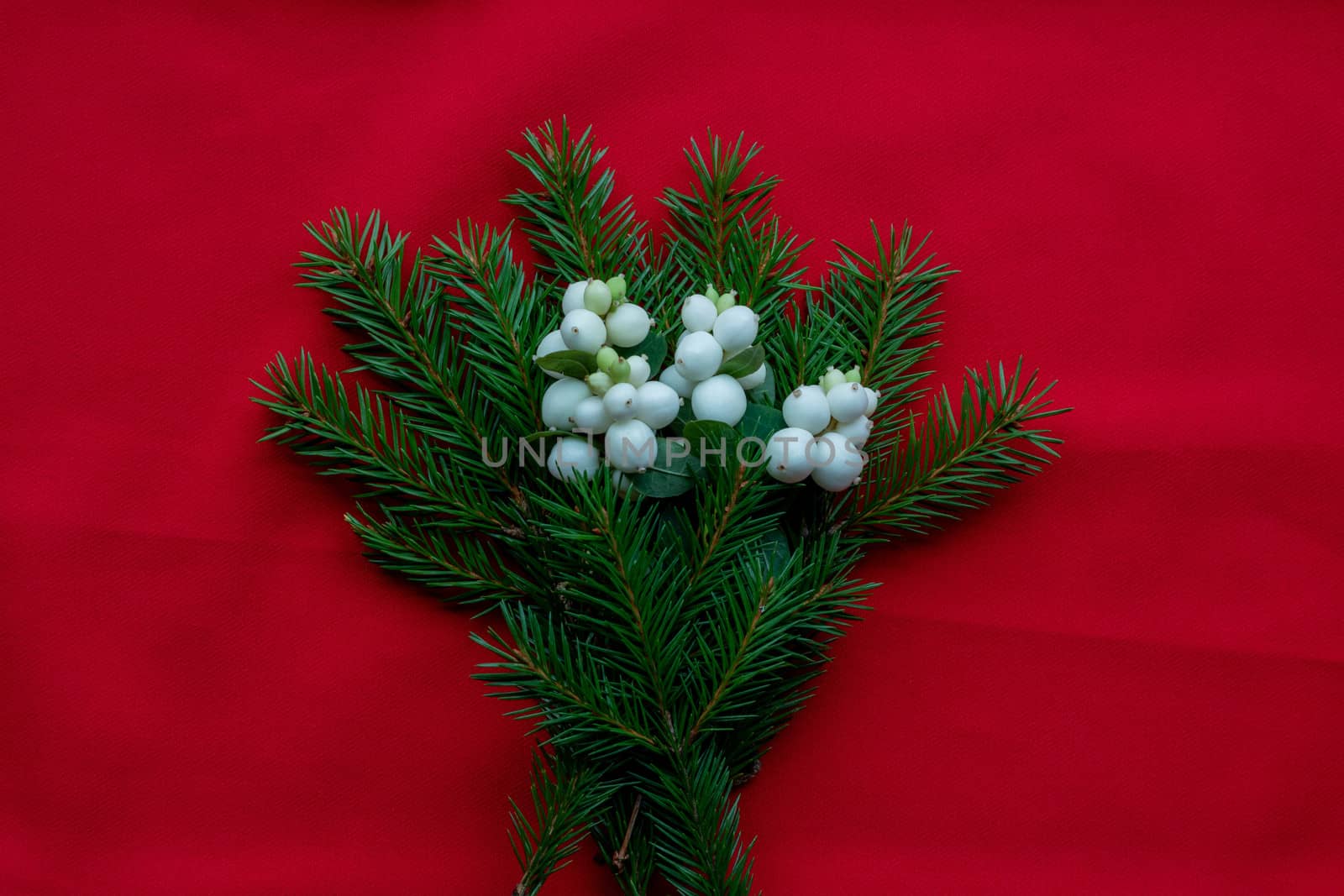 Christmas bouquet with fir branches and white dogwood berries on a red background . Christmas card. The theme of a winter holiday. Happy New Year.