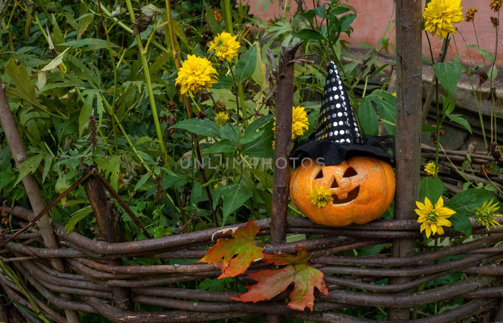 A cheerful pumpkin in a witch's hat is sitting on a fence among yellow flowers.The concept of Halloween.