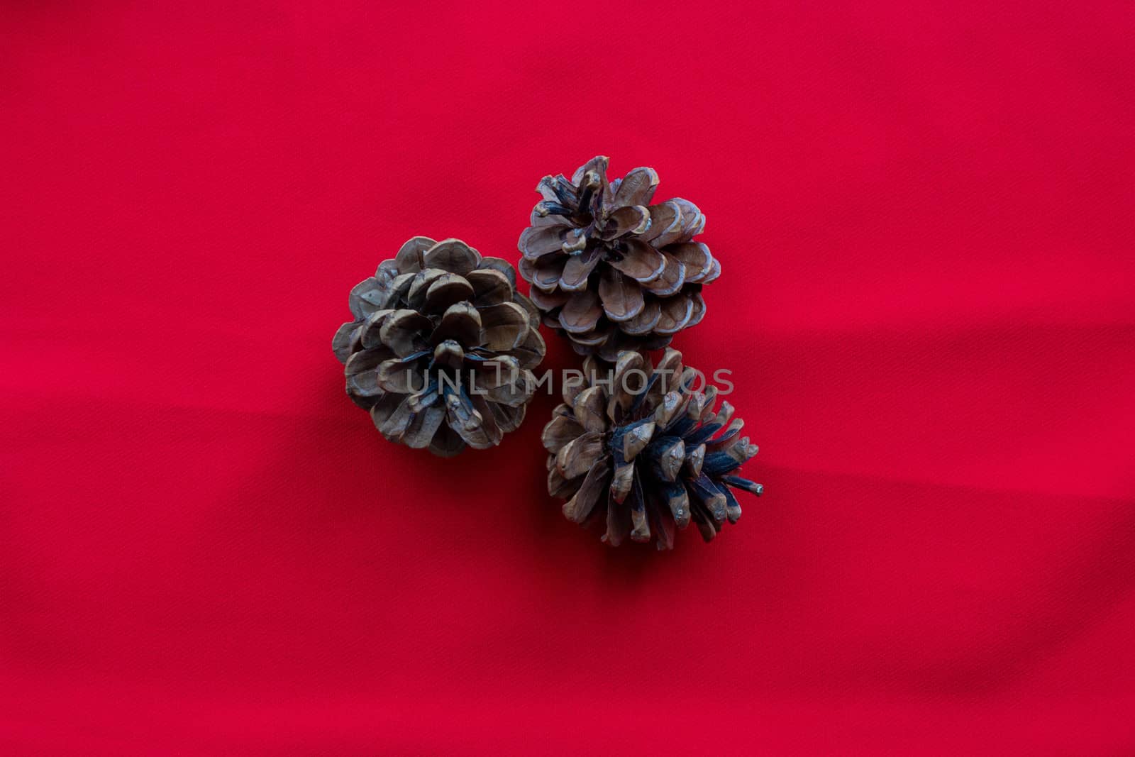 Three pine cones lie on a red background. The concept of the New year and Christmas.