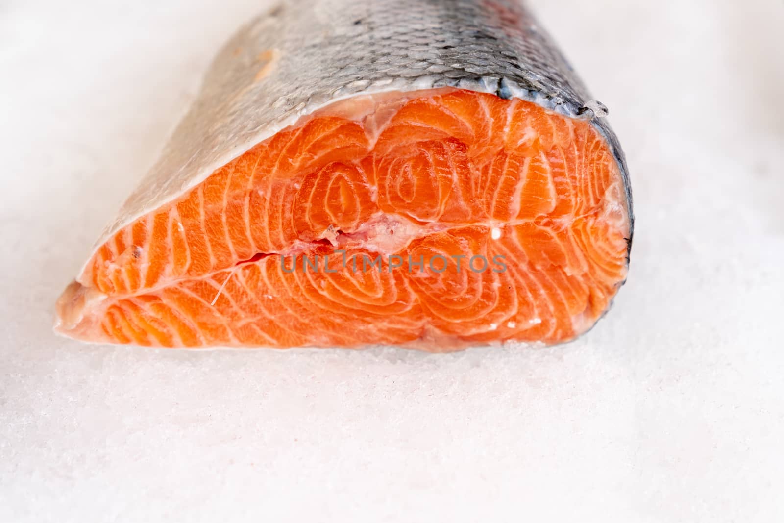 raw salmon steak on ice background