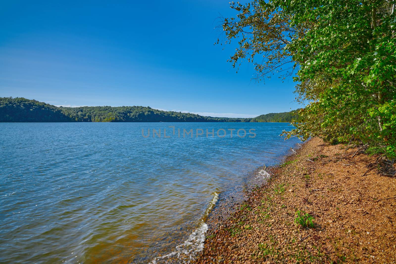Shoreline of Kentucky Lake near Kenlake State Resort Park, Kentu by patrickstock