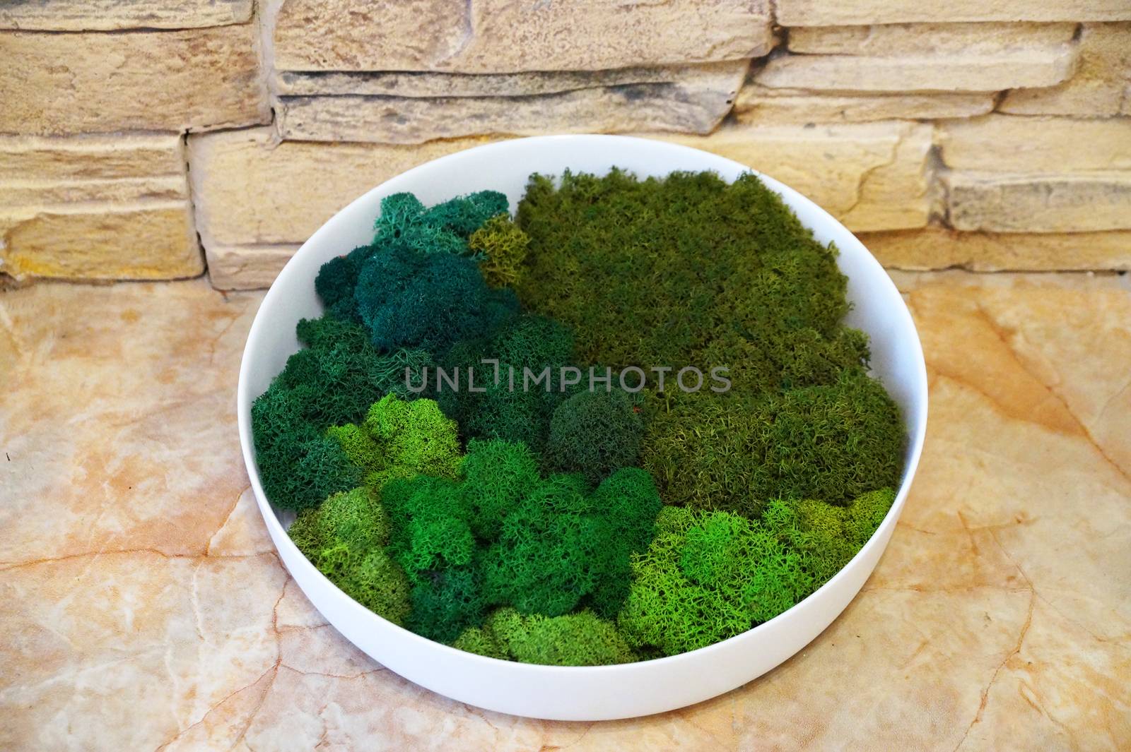 a round panel made of stabilized moss of various shades for ecological decoration of an office or apartment interior.