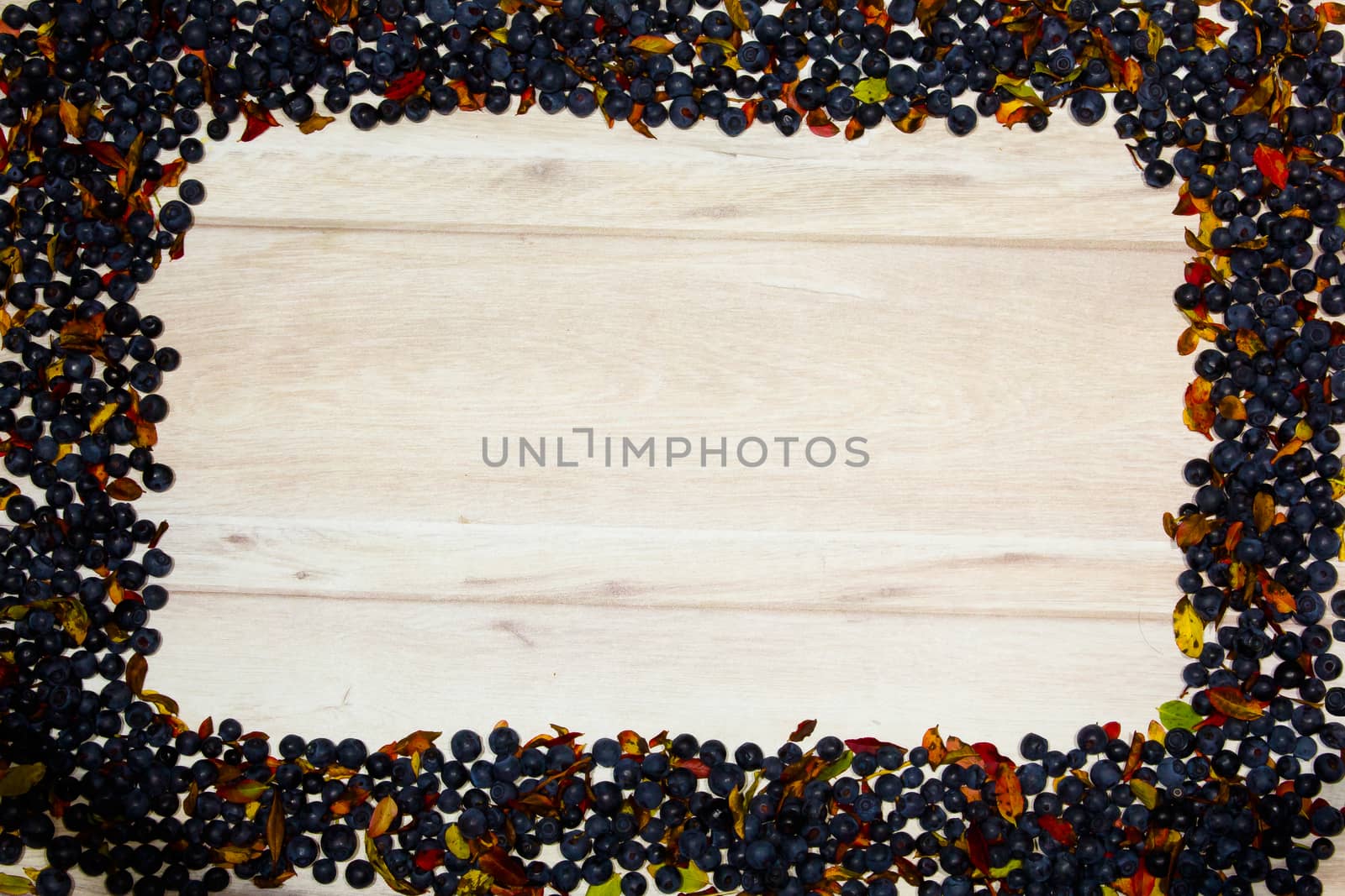 frame made of blueberries arranged at the left upper corner of a wooden table