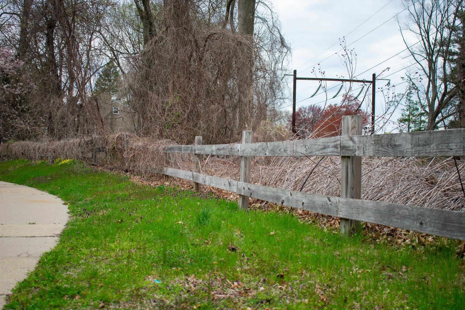 An Old Wooden Fence Covered in Dead Vines Next to a Sidewalk by bju12290