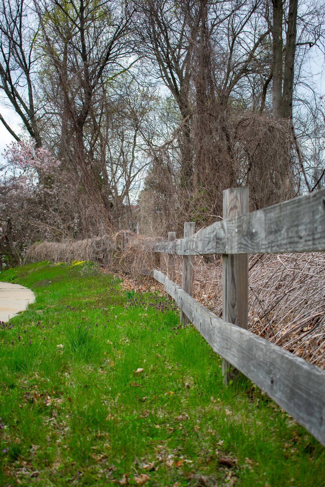 An Old Wooden Fence Covered in Dead Vines Next to a Sidewalk by bju12290