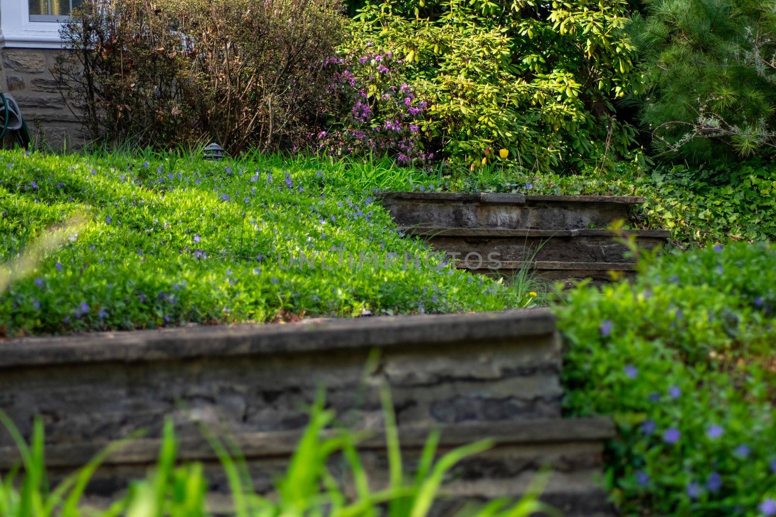 A Cobblestone Path and Steps Leading Up to a Suburban Home