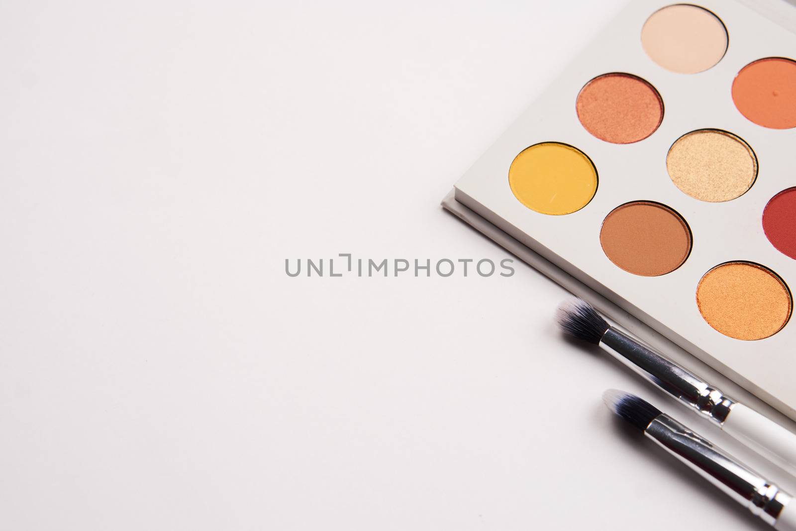 professional eyeshadow on isolated background and makeup brushes cosmetics fashion. High quality photo