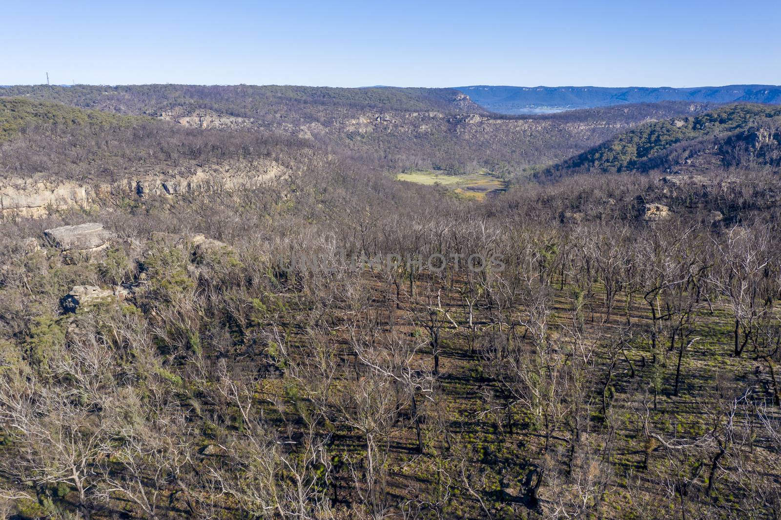 Aerial view of forest regeneration after bushfires in The Blue Mountains in New South Wales in Australia