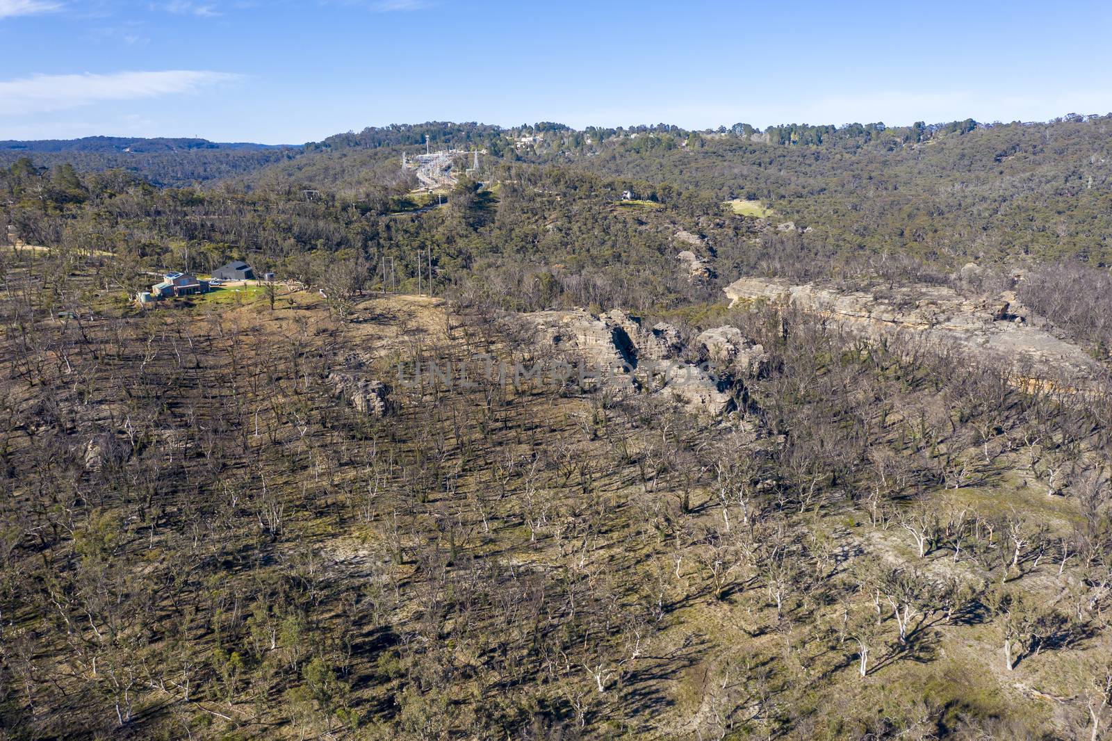 Aerial view of forest regeneration after bushfires in The Blue Mountains in New South Wales in Australia