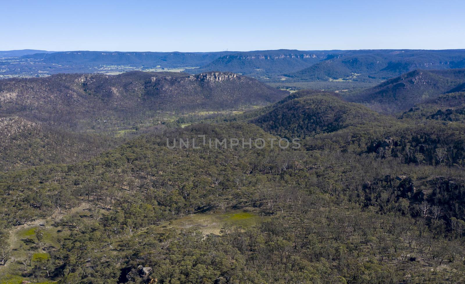 Aerial view of forest regeneration after bushfires in The Blue Mountains in New South Wales in Australia