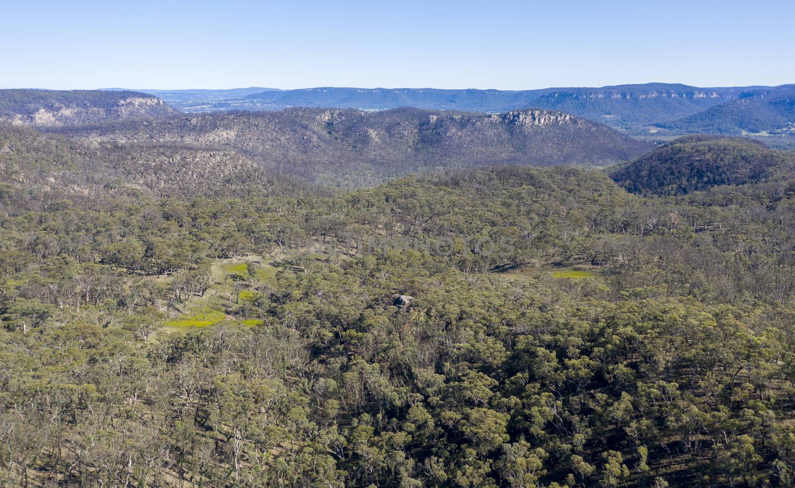 Aerial view of forest regeneration after bushfires in The Blue Mountains in New South Wales in Australia