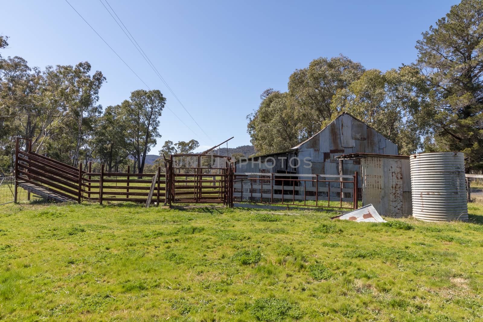 An old rusty shed in a green field in regional Australia by WittkePhotos