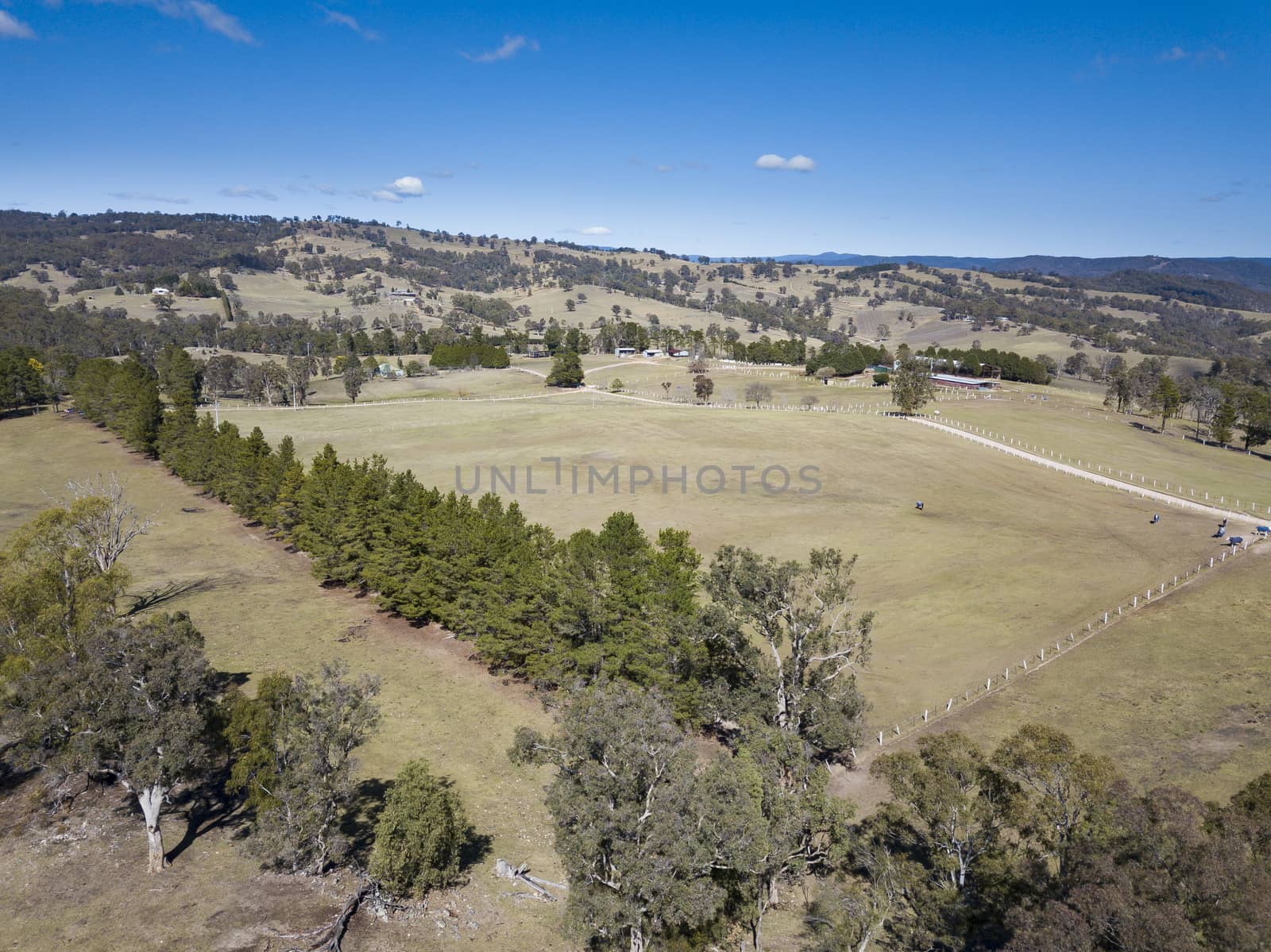 Aerial view of horses in a field in The Blue Mountains in regional Australia by WittkePhotos