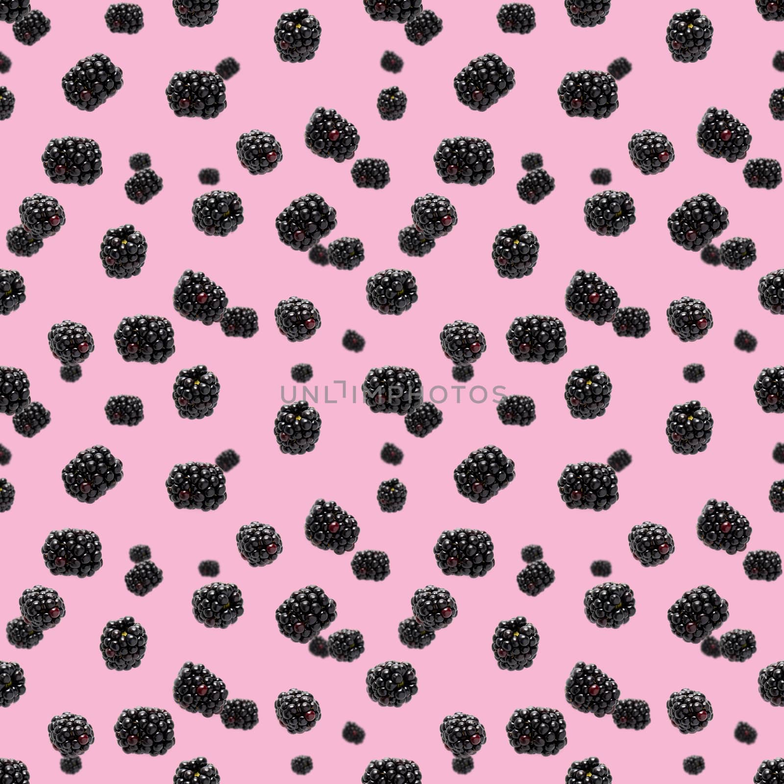 Falling Bramble Seamless pattern. Fresh Falling blackberry seamless pattern. Square pattern with fresh wild berries isolated on pink background. flat lay.