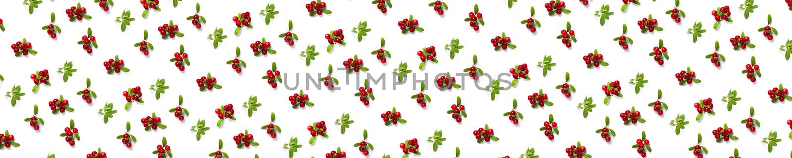Lingonberry background on white backdrop. Fresh cowberries or cranberries with leaves as background by PhotoTime