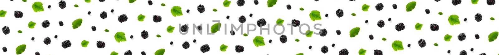 Banner Background from isolated brambles. Group of tasty ripe blackberry isolated on white background Banner. modern crative backround of falling blackberry or bramble.
