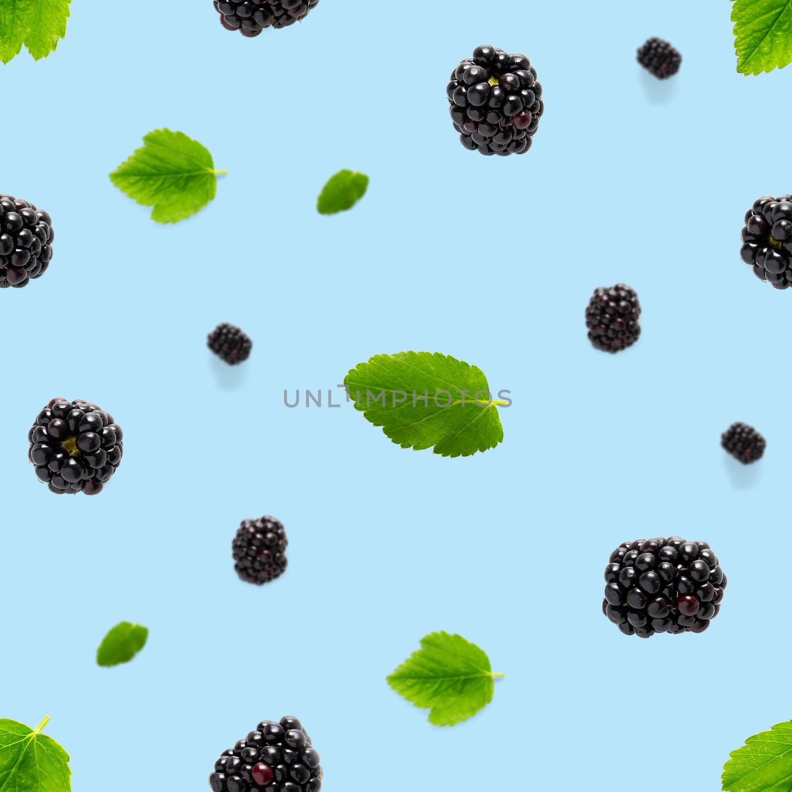 Falling Bramble Seamless pattern. Fresh Falling blackberry seamless pattern. Square pattern with fresh wild berries isolated on blue background. flat lay.