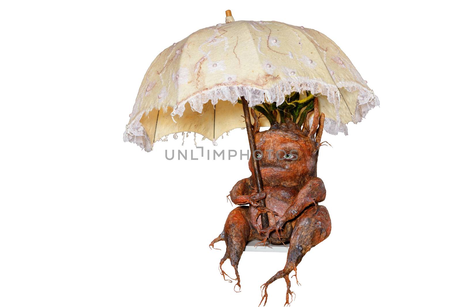 Mandrake root sits hiding under an umbrella, scary, funny, carved from wood. by Sergii