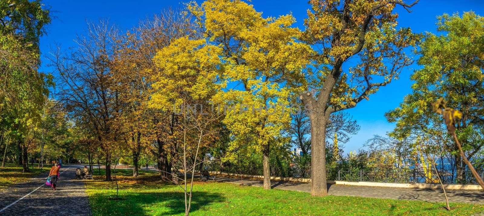 Odessa, Ukraine 11.05.2019.  Alleys and trees in Shevchenko Park in Odessa, Ukraine, on a sunny autumn day