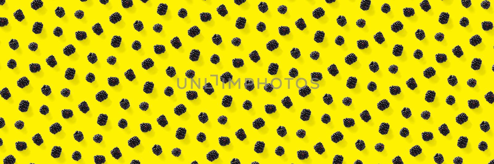 Background from isolated brambles. Group of tasty ripe blackberry isolated on yellow background. modern crative backround of falling blackberry or bramble.