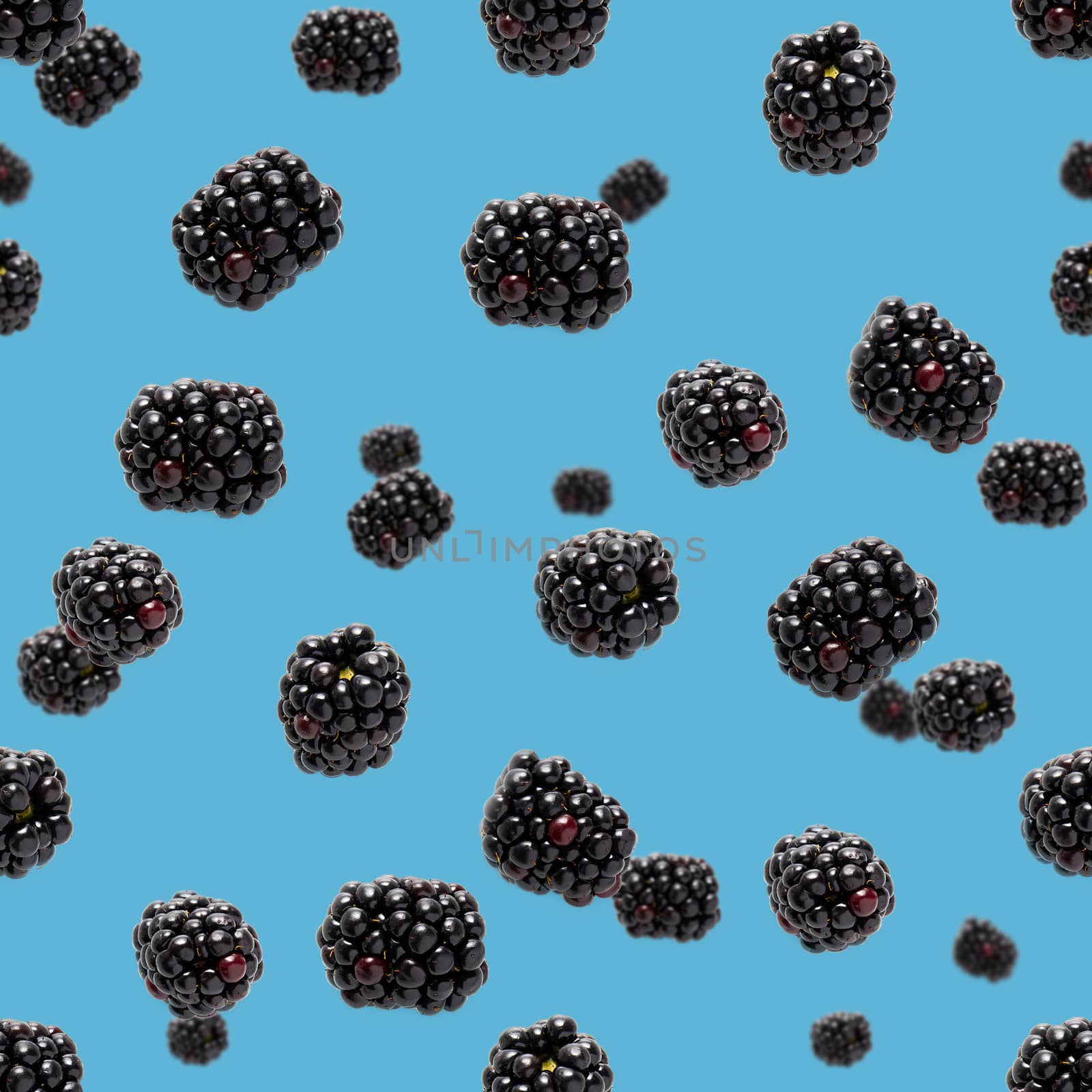 Falling Bramble Seamless pattern. Fresh Falling blackberry seamless pattern. Square pattern with fresh wild berries isolated on blue background. flat lay.
