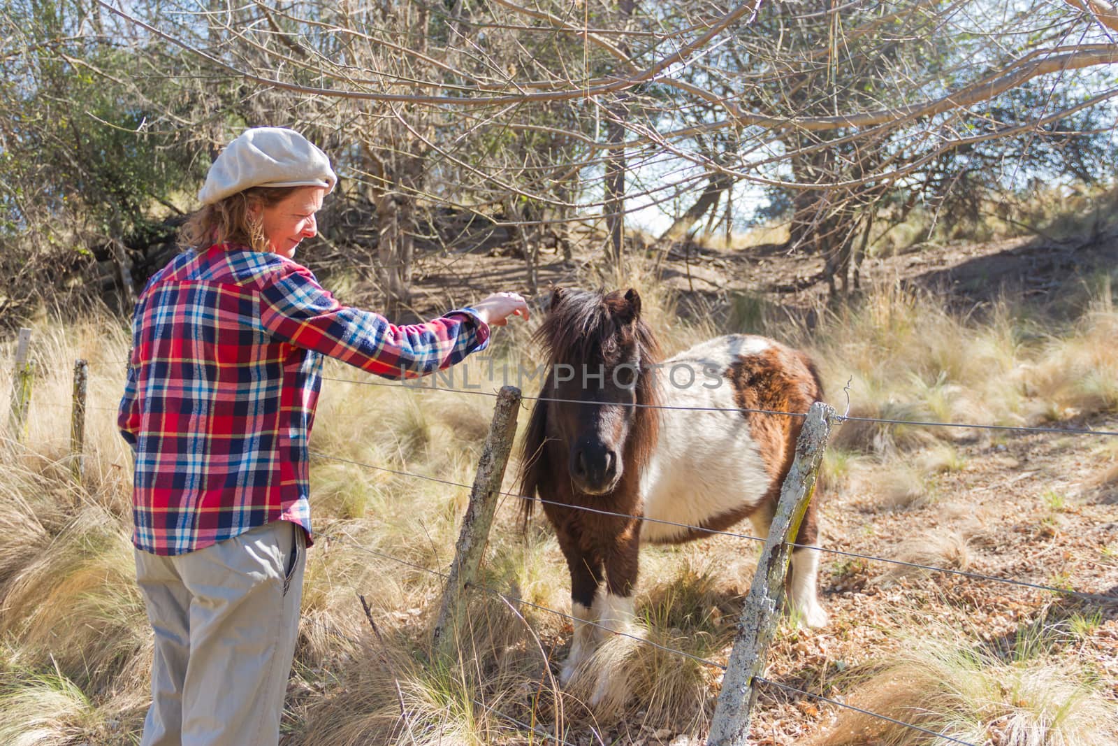 woman who works in the field with ponies by GabrielaBertolini